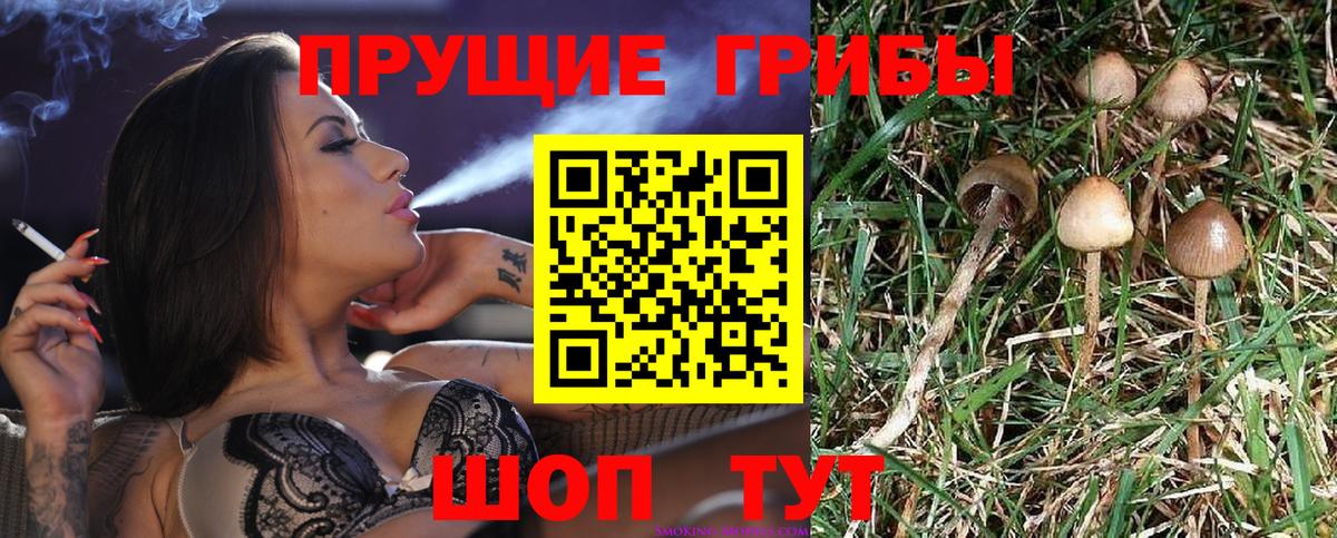 Галлюциногенные грибы Лабытнанги
