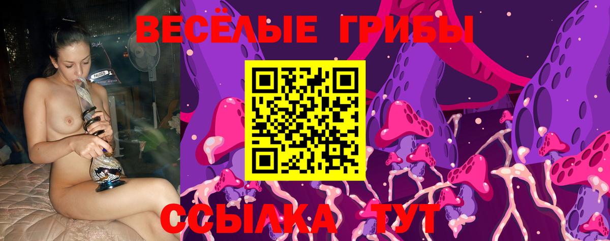 Псилоцибиновые грибы Psilocybine cubensis Лабытнанги